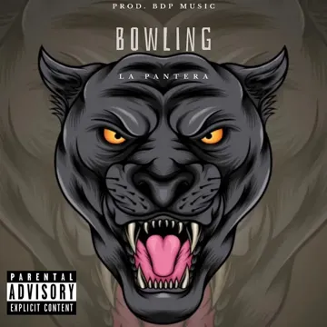 Bowling-cover