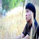 Vim tshuav teev ntshav