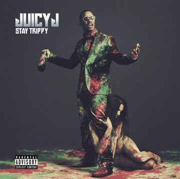 Stay-cover