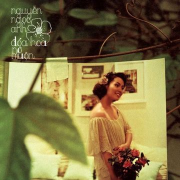 Đêm Mưa-cover