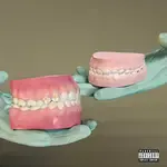 Dentures-cover
