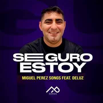 Seguro Estoy-cover