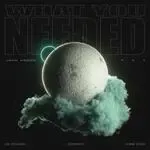 What You Needed (John Kroon Remix)-cover