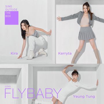 Fly Baby-cover