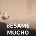 coveImg