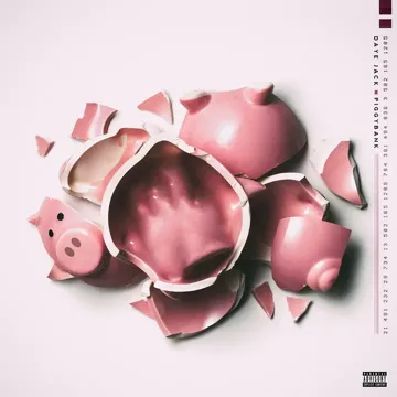 Piggybank-cover
