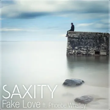 Fake Love (feat. Phoebe Whalley)-cover