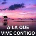 coveImg