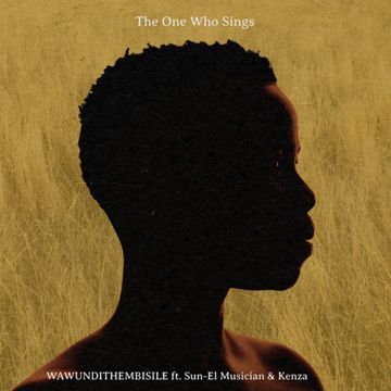 Wawundithembisile-cover