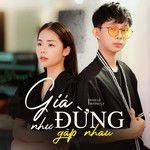 Giá Như Đừng Gặp Nhau-cover