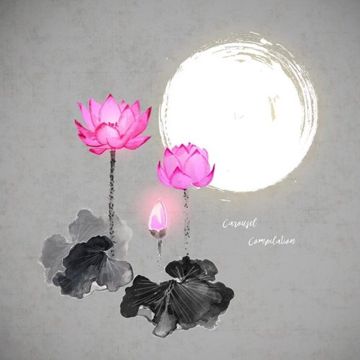 Carousel-cover