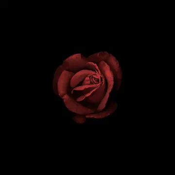 doces bárbaros (interlúdio)-cover