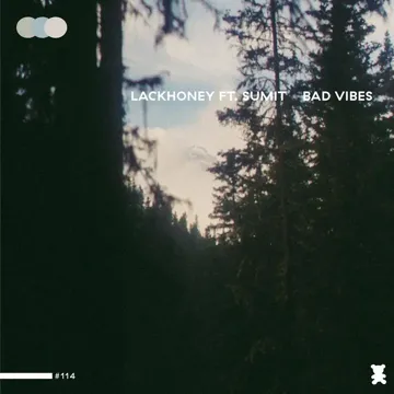 BAD VIBES (feat. Sumit)-cover