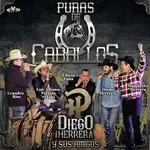El Alazán y el Rosillo-cover
