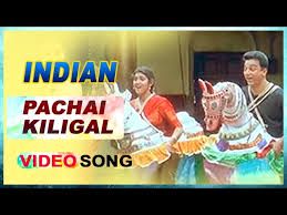 Pachai Kiligal Tholodu Indian-cover