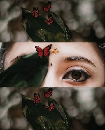 coveImg