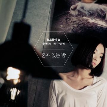 딴소리-cover