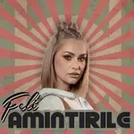 Amintirile-cover