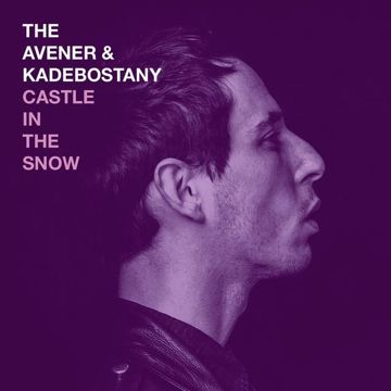 Castle In the Snow(Feder Remix)-cover