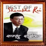 Chitthi Timilai Lekhu-cover