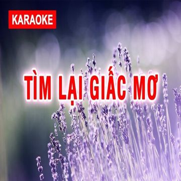 TÌM LẠI GIẤC MƠ REMIX-cover