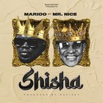 Shisha-cover