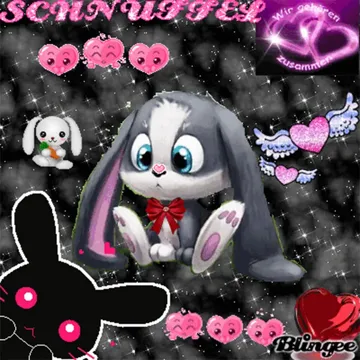 K4W411 G1RL-cover