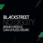 No Diggity(Sam Wilkes & Brian Green Remix)-cover