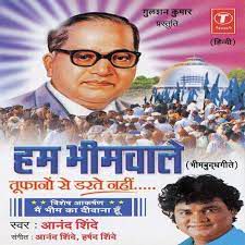 Main Bhim Ka Diwana Hoon-cover