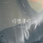 你想要的(无和声版)-cover