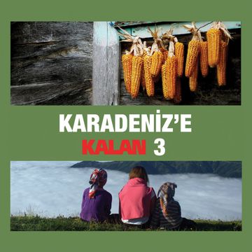 Kar Yağayi