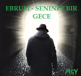 Seninle bir gece-cover