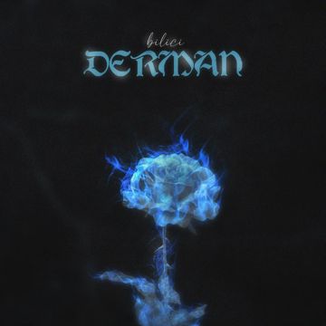 Derman-cover
