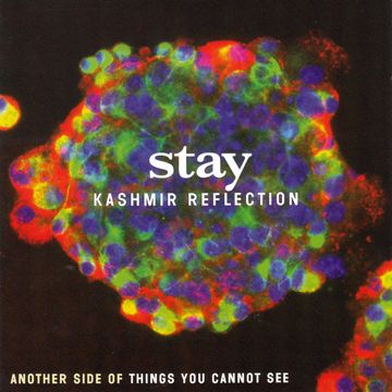 Stay-cover