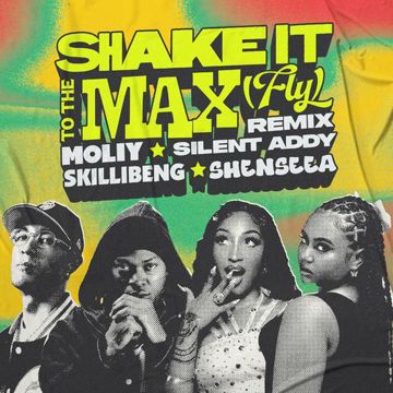 Shake It To The Max (FLY) [Remix]-cover