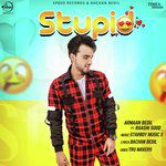 Stupid-cover