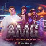 AMG-cover