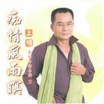 痴情风雨暝-cover