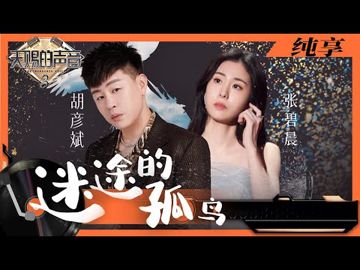 迷途的孤鳥-cover