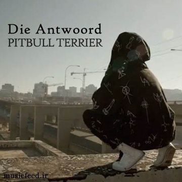 Pitbull Terrier-cover