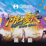 完美夏天(Live)-cover