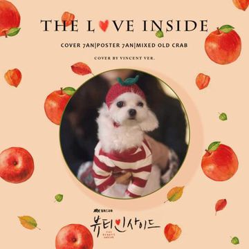 The love inside（翻自 Vincent）-cover