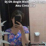 Dj Oh Angin Bisikan Padanya Aku Cinta Dia-cover