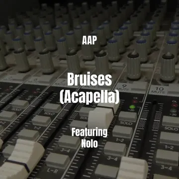 Bruises (Acapella)-cover