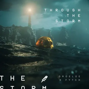 Through The Storm-cover