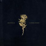 Closer-cover