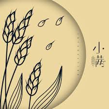 小满-cover