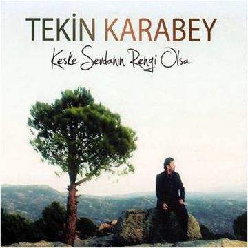 Sevdanın Rengi-cover