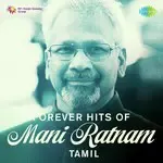 Kadhal Sadugudu (From &quot;Alaipayuthey&quot;)-cover