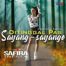 Ditinggal Pas Sayang Sayange (remix)-cover
